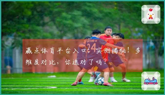 赢点体育平台入口：实测揭秘！多维度对比，你选对了吗？