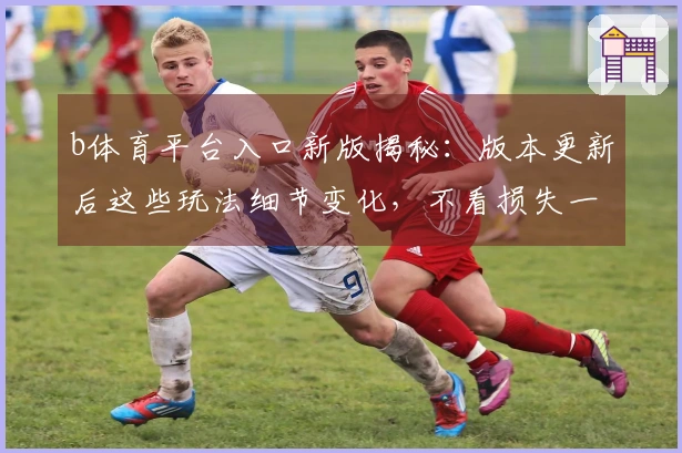 b体育平台入口新版揭秘：版本更新后这些玩法细节变化，不看损失一个亿！